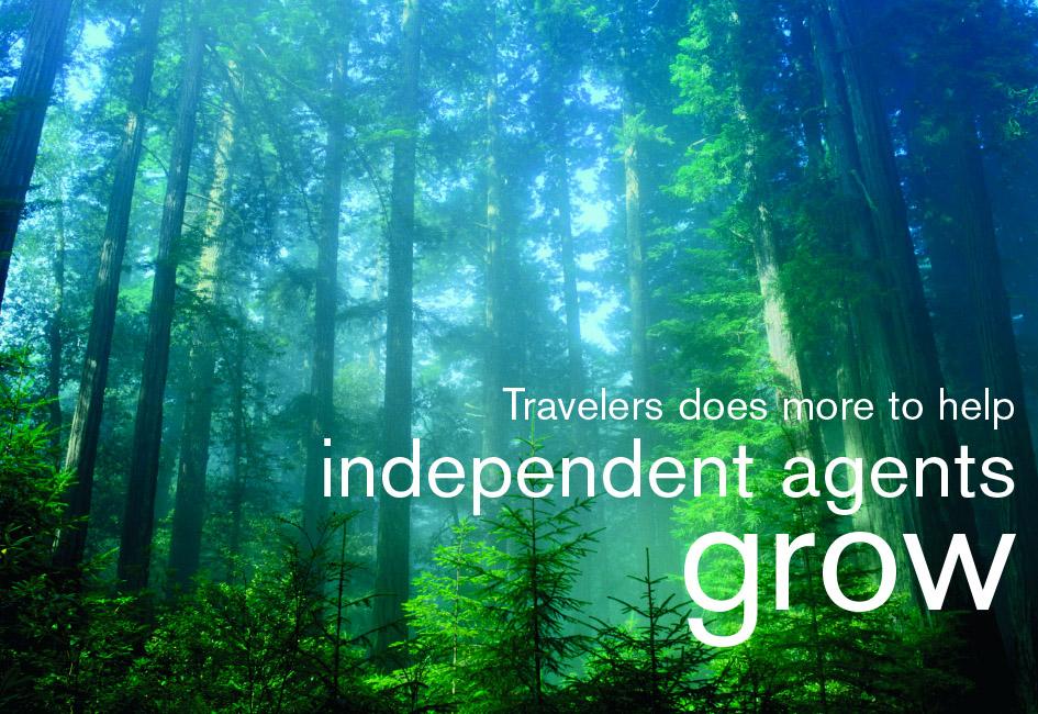 Close up teaser images of thick forest with tall trees and headline "Travelers does more to help independent agents grow", designed by Carolyn Porter of Porterfolio, Inc. for Travelers Insurance.