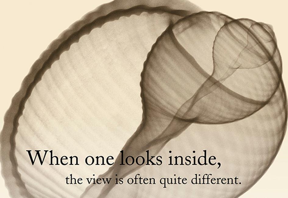 Close up teaser image of an X-ray of a seashell, used in an invitation designed by Carolyn Porter of Porterfolio, Inc. for The Saint Paul Foundation